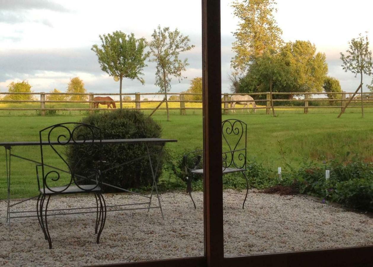 Haras Des Leudets Bed & Breakfast Blangy-le-Chateau Exterior photo